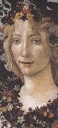 Sandro Botticelli Primavera France oil painting artist